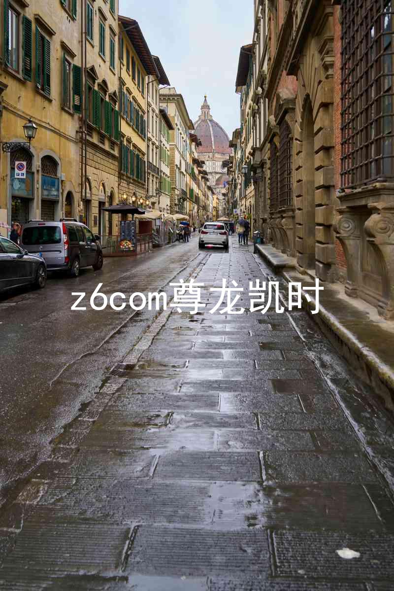 z6com尊龙凯时